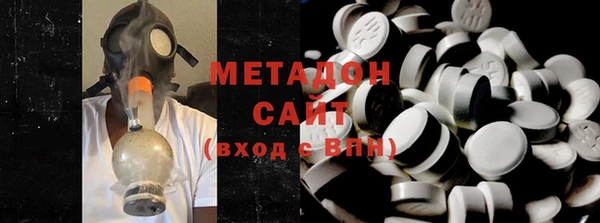 прущие грибы Снежногорск