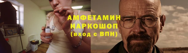 прущие грибы Снежногорск