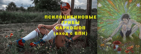 индика Слюдянка