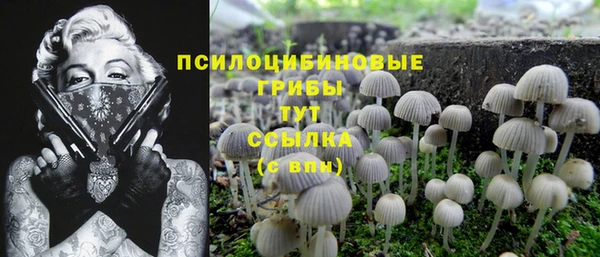 прущий лед Снежинск