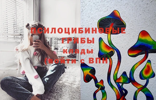 ECSTASY Абаза