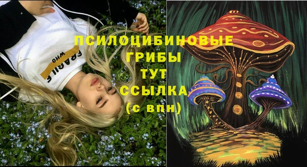 прущие грибы Снежногорск