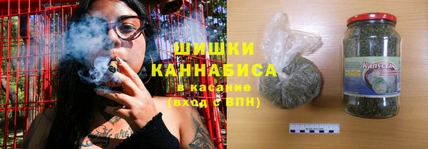 индика Слюдянка