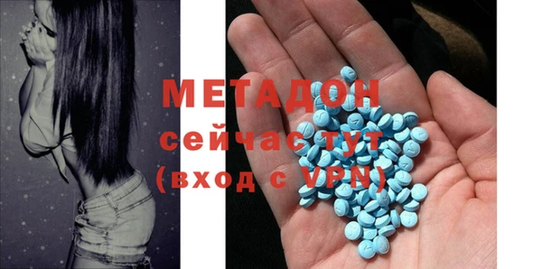прущие грибы Снежногорск
