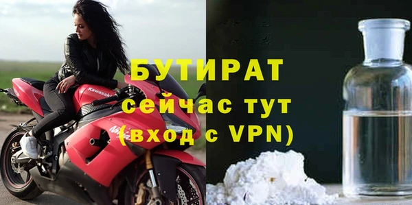 индика Слюдянка