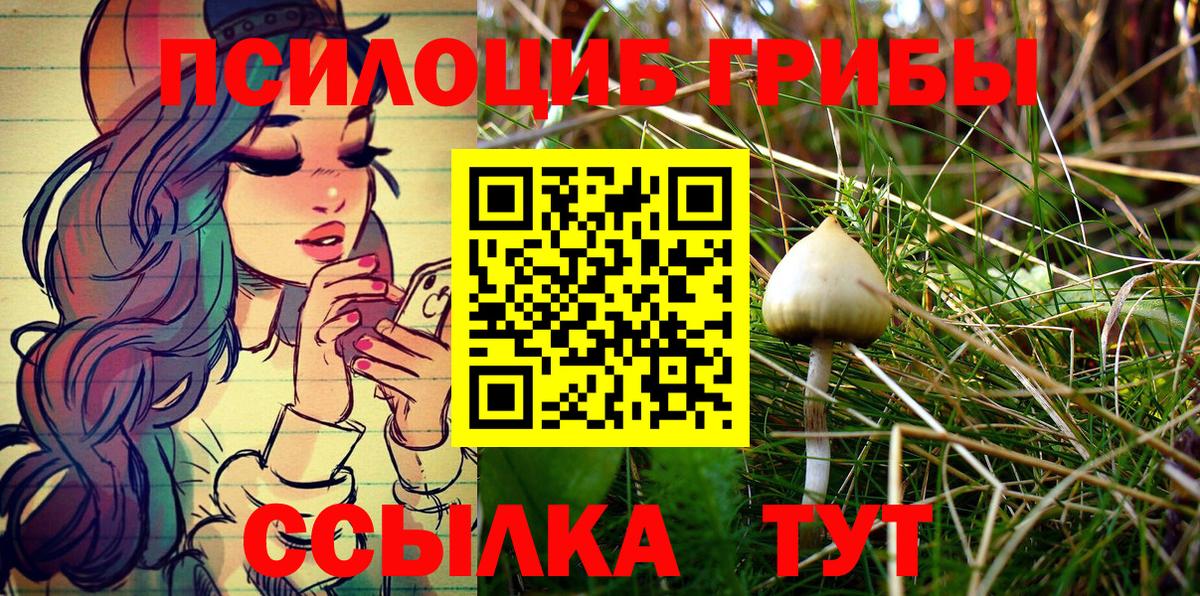 Галлюциногенные грибы Cubensis  Вход с VPN  цены   Железноводск 