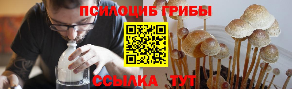 Галлюциногенные грибы Cubensis Железноводск